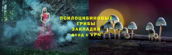 индика Надым