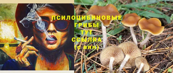 прущий лед Навашино