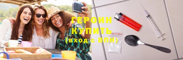 индика Надым