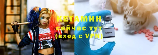 индика Надым