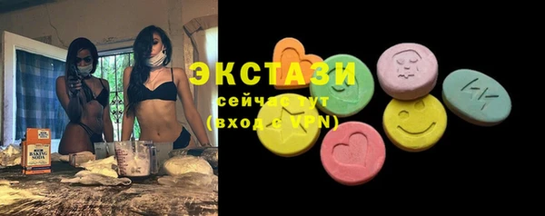 индика Надым