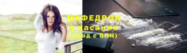 индика Надым