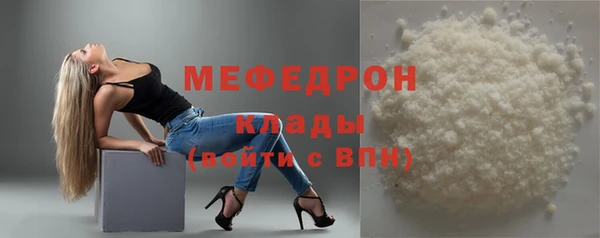 индика Надым