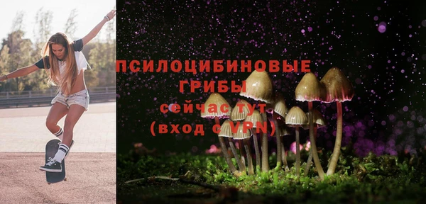 индика Надым