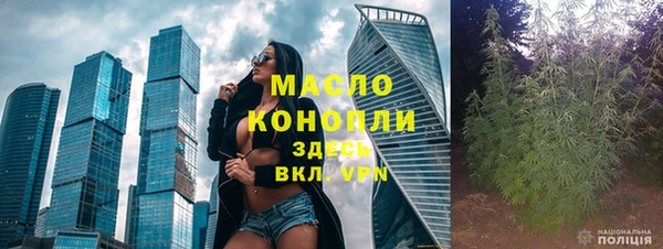 индика Надым