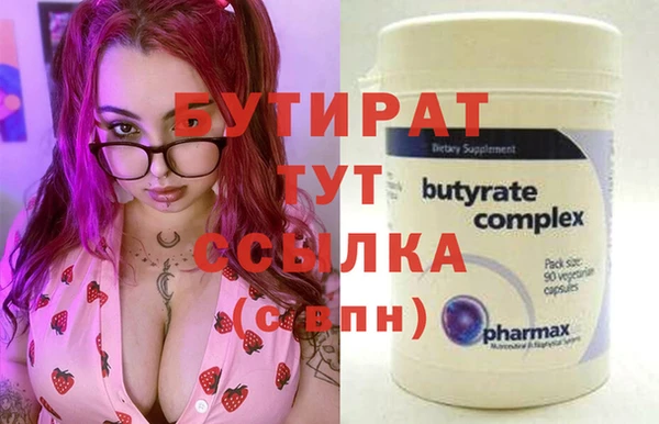 индика Надым