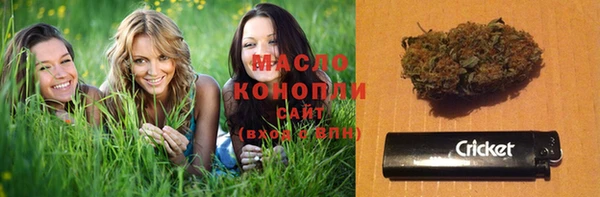 индика Надым