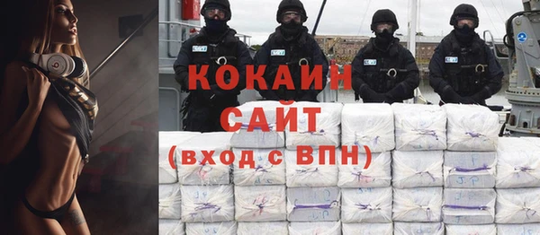 индика Надым