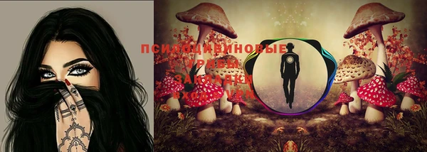 индика Надым