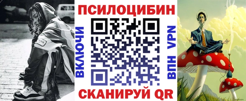 купить   Полярный  Псилоцибиновые грибы мицелий 